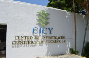 Sentencia a nueve años de cárcel a profesor del CICY por abuso sexual