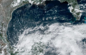 Remanentes de Agatha formarían la tormenta tropical “Alex” en el Golfo de México