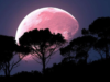 Luna de Fresa: ¿Cuándo y a qué hora se podrá ver en México?