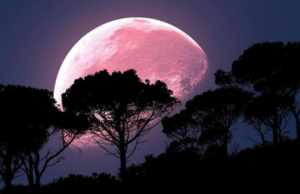 Luna de Fresa: ¿Cuándo y a qué hora se podrá ver en México?