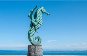 Detectan caso de viruela de mono en Puerto Vallarta; el paciente se dio a la fuga