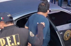 Catean predios del centro de Mérida; hay tres detenidos