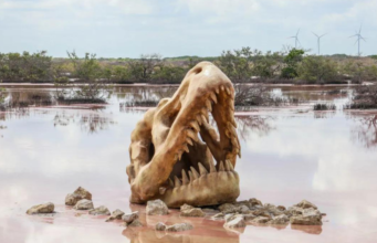 Estos son los precios de acceso a Sendero Jurásico de Progreso