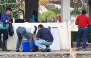 Departamento epidemiológico recaba muestras de un lote de cerdos ante cochinita contaminada en Seyé