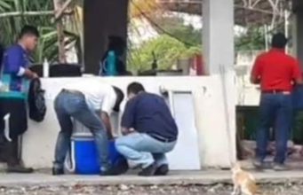 Departamento epidemiológico recaba muestras de un lote de cerdos ante cochinita contaminada en Seyé