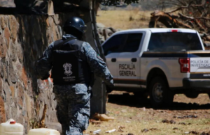 Hallan cuerpos de 10 personas en fosas clandestinas de la Ciénega, Michoacán