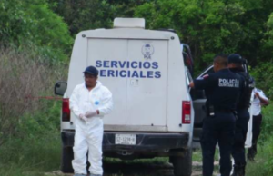 Hallan cuerpos en diversos puntos de la Zona Continental de Isla Mujeres