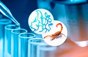 Investigan alternativa para tratar cáncer con veneno de escorpión azul
