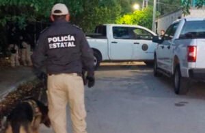 Realizan cateo en Progreso por narcomenudeo