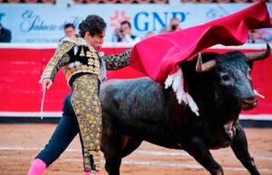 SCJN considera que corridas de toros y peleas de gallos no son patrimonio cultural