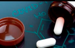 Biólogo yucateco descubre fármacos contra COVID-19 en esponjas marinas de la Península