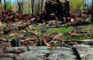 Ucrania pierde hasta 100 militares al día por los ataques de Rusia