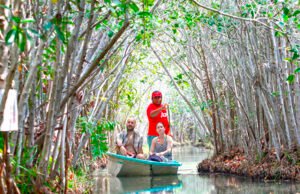 San Crisanto obtiene el primer proyecto certificado de manglar en México