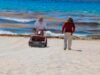 Recolectan 800 toneladas de sargazo en Cancún