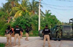 Fuerzas Federales catean tres predios en El Cuyo, Tizimín