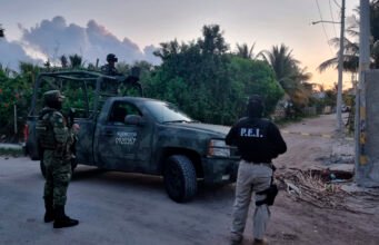 Aseguran narcóticos y detienen a dos personas en operativo antidrogas en Chelem