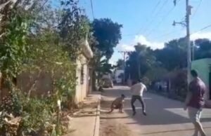 REGIDOR DE LA POLICÍA PROTAGONIZÓ UN PLEITO CON UN VECINO EN TICUL