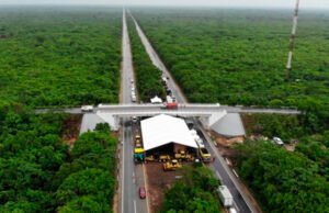 Juez admite ampliación de amparo contra obras del tramo 5 del Tren Maya