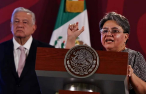 SAT no solicitó constancia de situación fiscal, fueron las empresas: Raquel Buenrostro