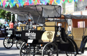 Caleseros reportan 50% de aumento en flujo de turistas