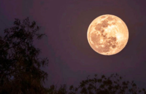 Superluna de Ciervo: ¿Cuándo se podrá ver en Yucatán y por qué se llama así?