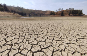 Conagua declara emergencia por sequía en 571 municipios