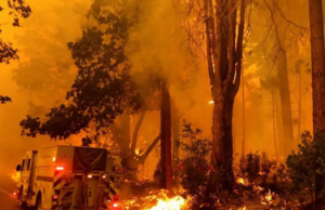 Incendio forestal en California arrasa con más de seis mil hectáreas