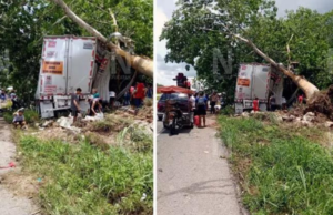 Rapiña de leche en la Mérida- Cancún