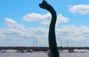 Autoridades convierten Malecón de Progreso en Disneylandia de ínfima categoría, acusa artista