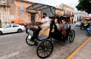 Esto es lo que debes saber sobre las rutas y costo del viaje de las calesas eléctricas en Mérida