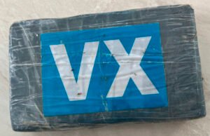 Hallan ladrillo de cocaína en playa de Tulum