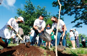 Alcalde de Mérida, Renán Barrera, participa en la Cruzada Forestal