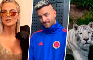 ¿Quiénes son los famosos que hicieron donaciones al santuario Black Jaguar-White Tiger?