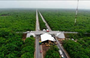 INAI pide transparentar contratos del polémico proyecto de AMLO en el Sureste