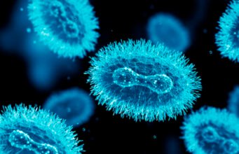 Organizaciones piden a la Secretaría de Salud actuar ante la viruela símica en Yucatán