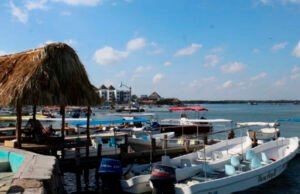 Marea roja en Yucatán no representa riesgo para la salud: SSY