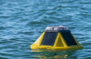 Roban boya, propiedad de la UNAM, frente a la costa de Sisal