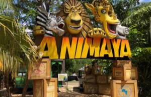 Circuito Aventuras, unirá los zoológicos y otros parques de Mérida
