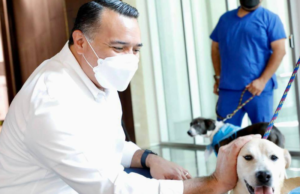 Aprueban actualización del Reglamento Municipal de la Fauna en Mérida