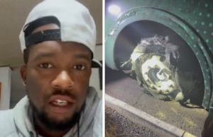 Leones de Yucatán sufren intento de asalto en la Puebla-México