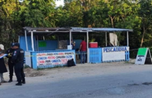 Disparan contra pescadería en In House de Playa del Carmen