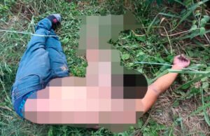 Hallan un ejecutado con huellas de tortura en la Región 237 de Cancún