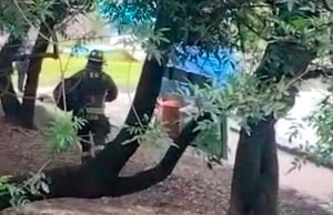 Hombre muere ahogado en Chapultepec