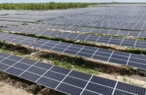 Detiene tribunal proyecto fotovoltaico en Yucatán