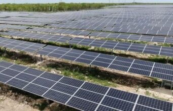 Detiene tribunal proyecto fotovoltaico en Yucatán