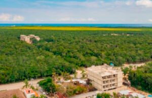 Presentan análisis hidrológico y de vegetación del Parque Nacional del Jaguar