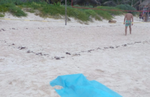 Joven poblano se ahoga en Tulum