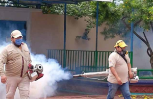 Yucatán acumula 83 casos de dengue