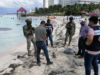 Recala cabeza de cocodrilo en playas de Cancún