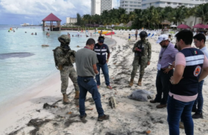 Recala cabeza de cocodrilo en playas de Cancún